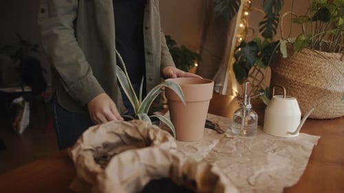 Person Repotting Plant at Wooden Table at Home