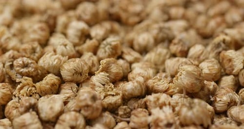 Heap of Golden Dried Flower Buds Close Up
