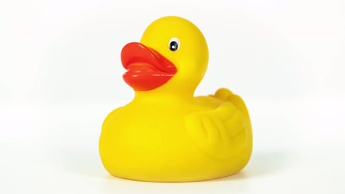 Yellow Rubber Duck Rotates on White Background