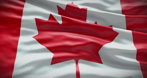 Realistic Waving Canada Flag Background Loop