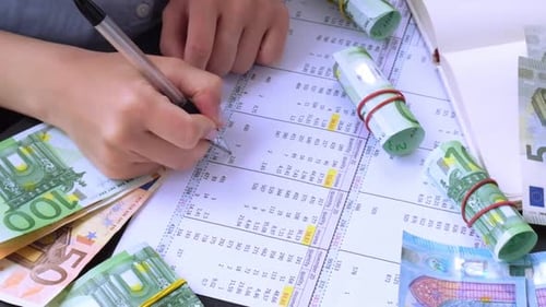 Financial Analyst Reviews Data with Euro Currency