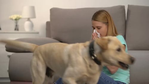 Woman Wipes Nose with Tissues Next to Dog