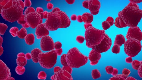 Falling Red Raspberries Loop Background