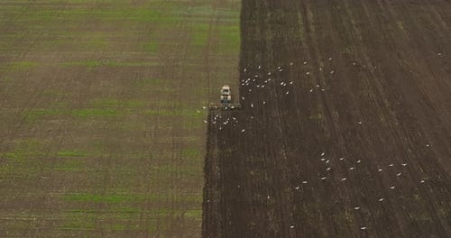 Mechanized Plowing and Cultivation Land of Agricultural Field View From Drone Prores