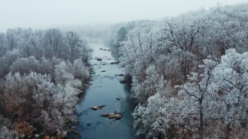 Scenic winter landscape. Aerial view of snow covered forest around beautiful river
