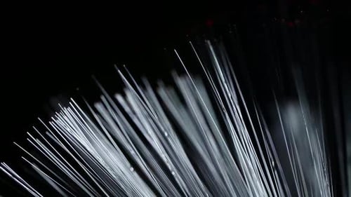 Colorful Fiber Optic Cables Against Black Background