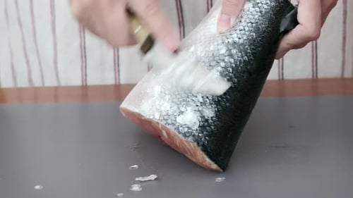 Close up of female hands who cleans salmon fish scales with knife