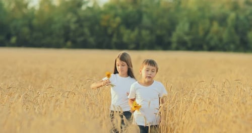 Boy with a Girl Walks with Flowers Across the Field. Brother and Sister Are Walking in a Wheat Field