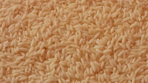 Close up of uncooked white rice rotating. Static, top view
