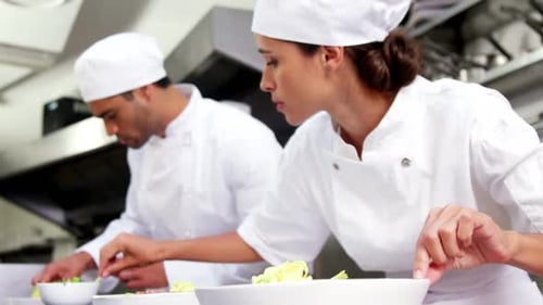 Chefs Plating Food in Commercial Kitchen