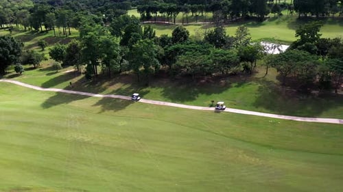 4K Aerial view group of Asian people golfing on at golf course in summer sunny day.