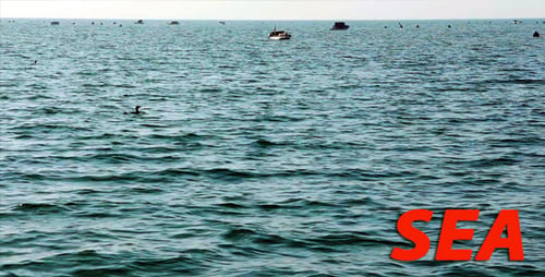 Sea