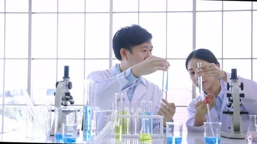 Two Scientists Working in a Laboratory Setting