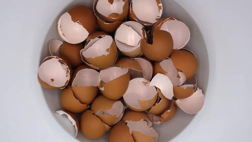 Vertical orientation video: Empty broken egg shells as brown color