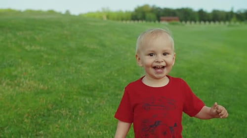Toddler Walking in Green Field. Smiling Boy Gesturing with Hands Outdoors