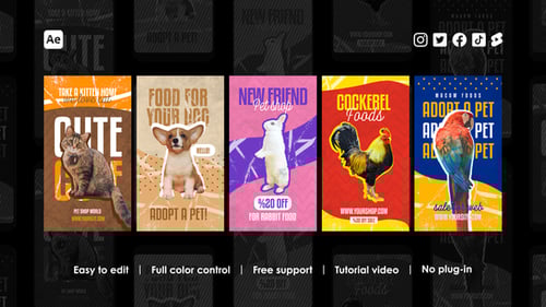 Pet Shop Instagram Reels