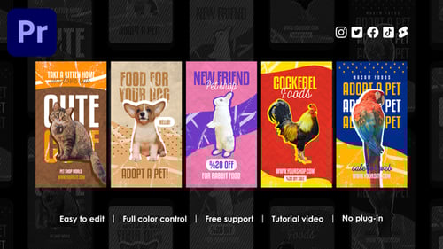 Pet Shop Instagram Reels