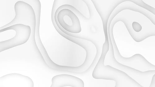 Seamless White and Grey Abstract Organic Flow Background Loop