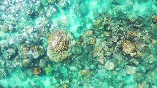 Aerial flying over scenery of luxury seashore beach journey by shallow water and white sandy backgro