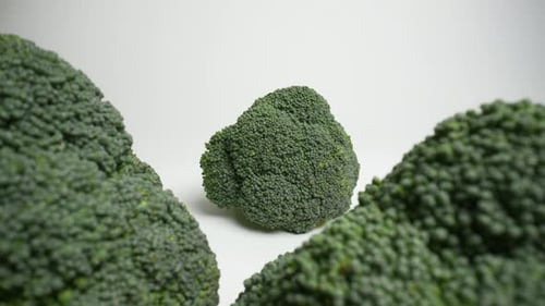 Fresh Green Broccoli 73