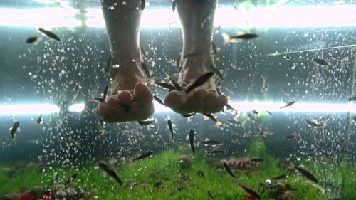 Fish Massage