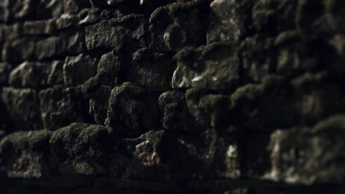 Animated Natural Mossy Stone Wall Moving Texture Background