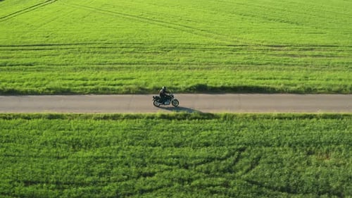 Motorcyclist Rides Between Bright Green Fields Aerial View