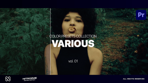 Various LUT Collection Vol. 01 for Premiere Pro