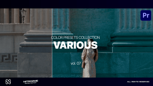 Various LUT Collection Vol. 07 for Premiere Pro
