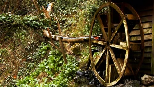 Water Mill In Green Nature 1