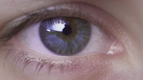 Très gros plan de l'œil bleu d'une belle fille