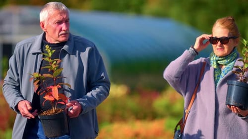 Portrait d'un couple de retraités avec des plantes en pot marchant dans Garden Spring Park. Focus sélectif Sh
