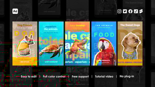 Histórias do Instagram de pet shop