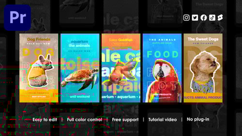 Histórias do Instagram de pet shop