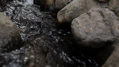 Water Flowing Through Rocky Creek Bed
