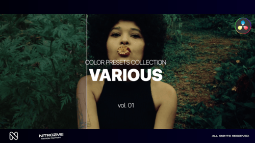 Various LUT Collection Vol. 01 for DaVinci Resolve