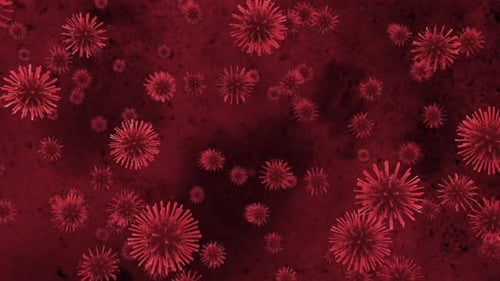 A Deadly Coronavirus Bacterium Under a Microscope