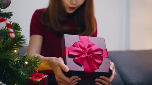 Woman Holding Christmas Present by Tree Smiling