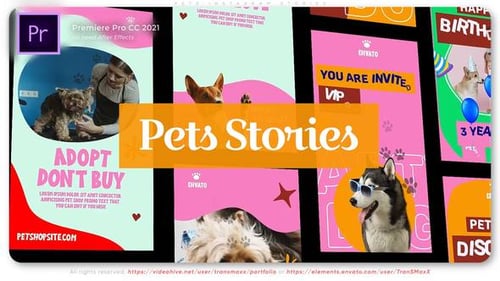 Colorful Pet Social Media Stories with Dynamic Graphics