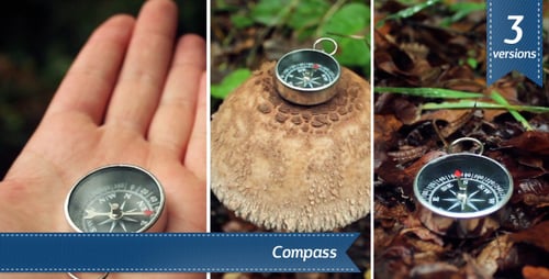 Compass