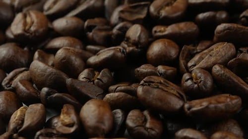 coffee beans close up