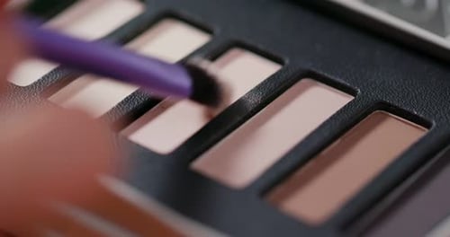 Makeup Brush Swiping Eye Shadow from Palette