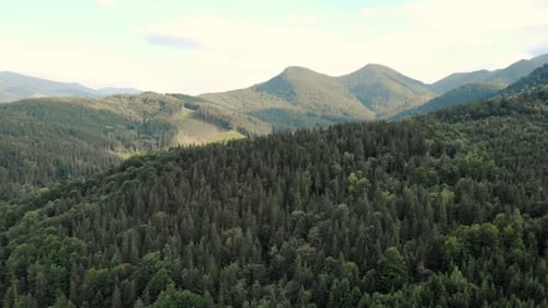 Beautiful Summer Alpine Landscape with Green Wooded Mountains