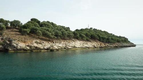 Rocky shore with trees near the sea shore