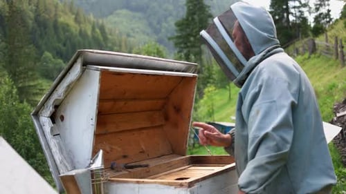 Beekeeper Working on a Beehive with Smoker