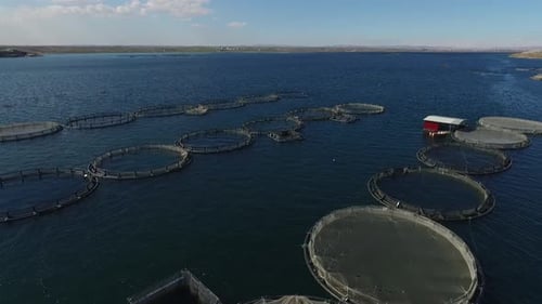 fish farming
