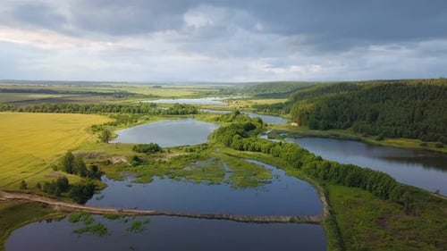 Nature Forest Lake Pond Water