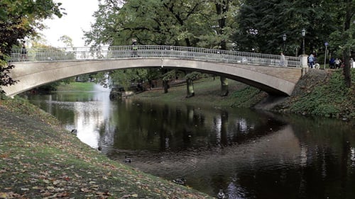 Bridge In City Park