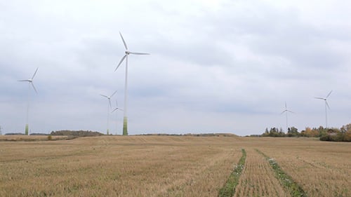 Many Wind Turbines in the Field