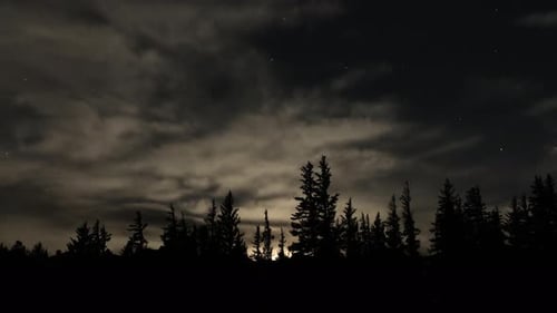 Mond und Wolken über Bäumen Zeitraffer